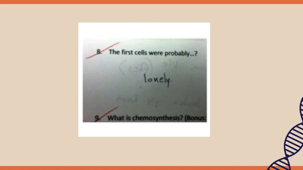 Funny Chemistry Test Answers