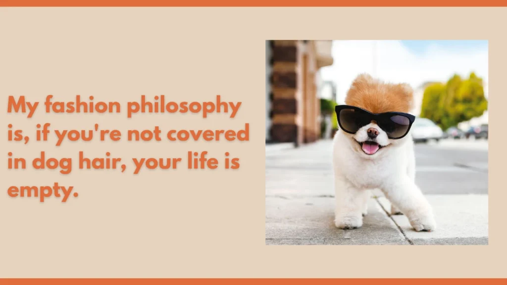 Funny Dog Quotes