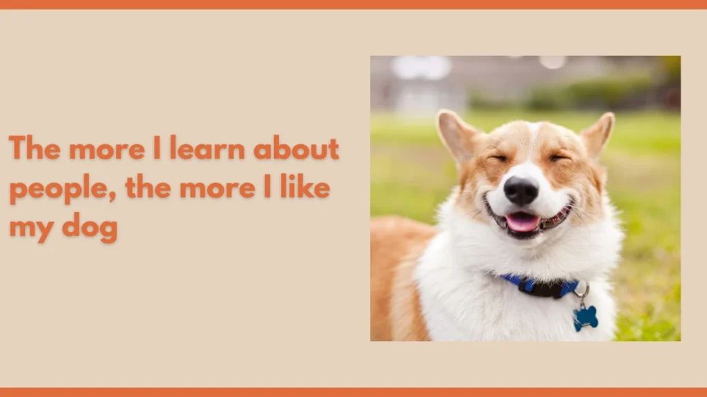 The more I learn about people, the more I like my dog