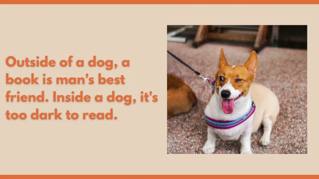 Funny Dog Quotes