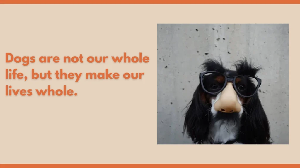 Funny Dog Quotes