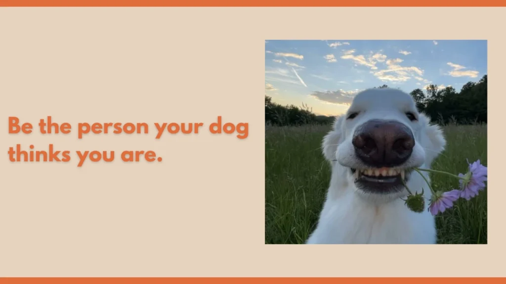 Funny Dog Quotes