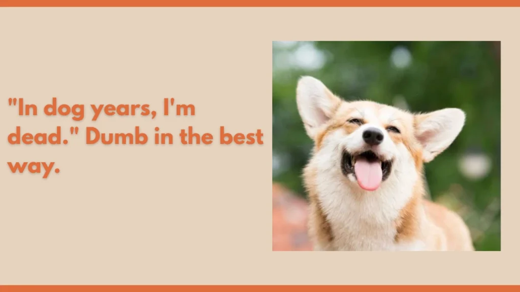 Funny Dog Quotes