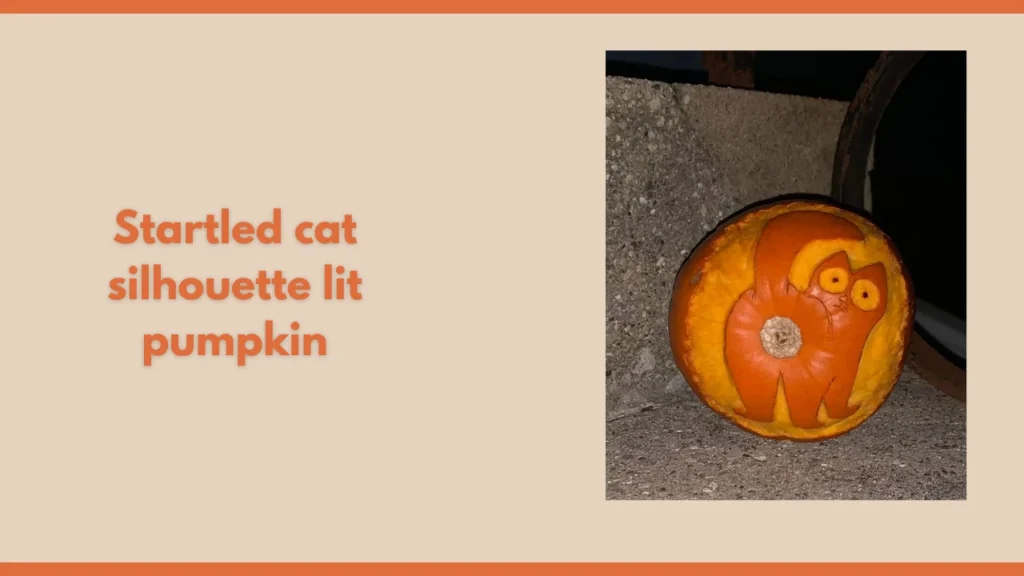 Startled cat silhouette lit pumpkin
