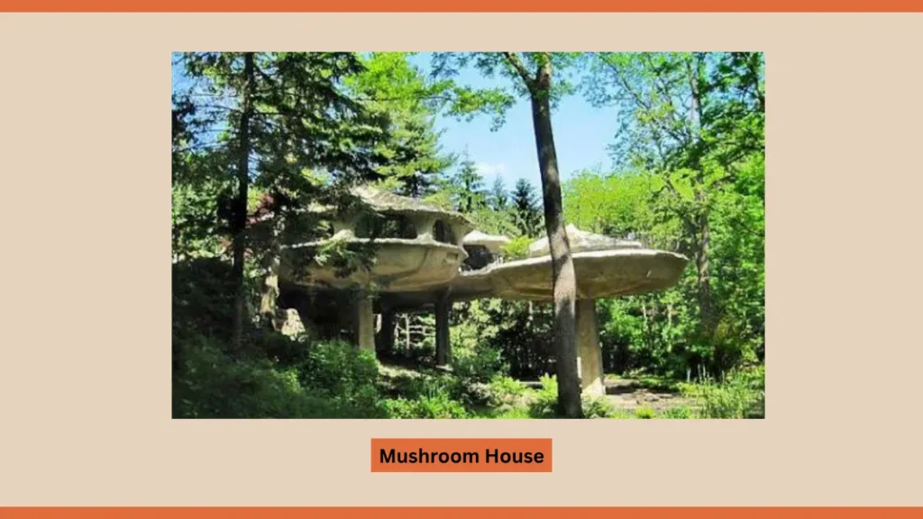 Mushroom House