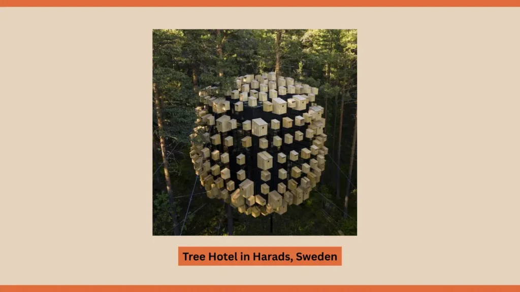 Tree Hotel