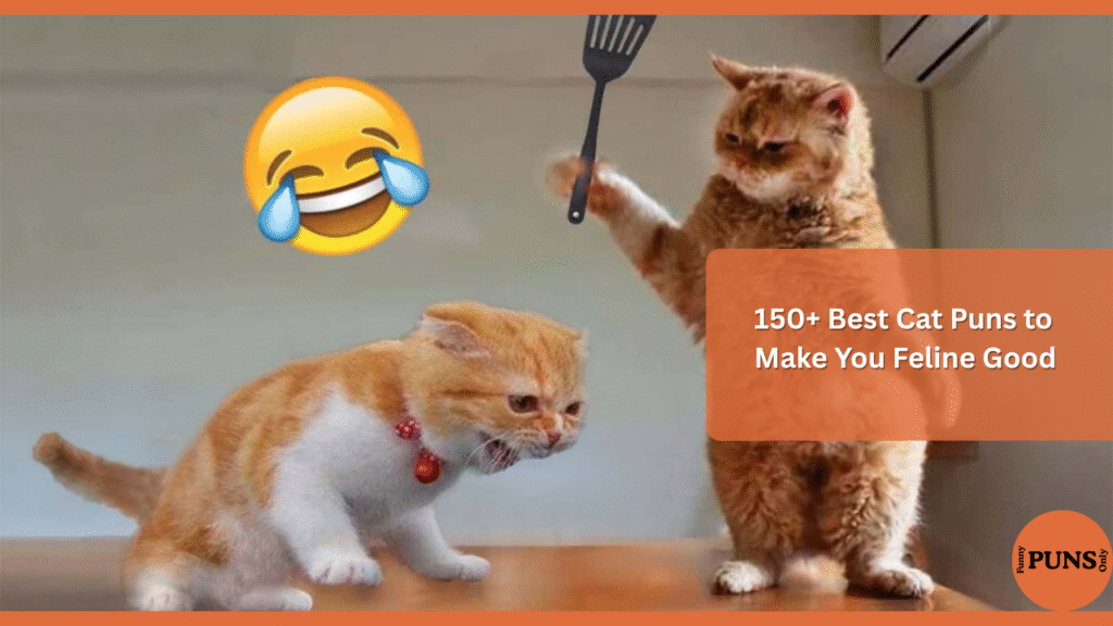 Best Cat Puns
