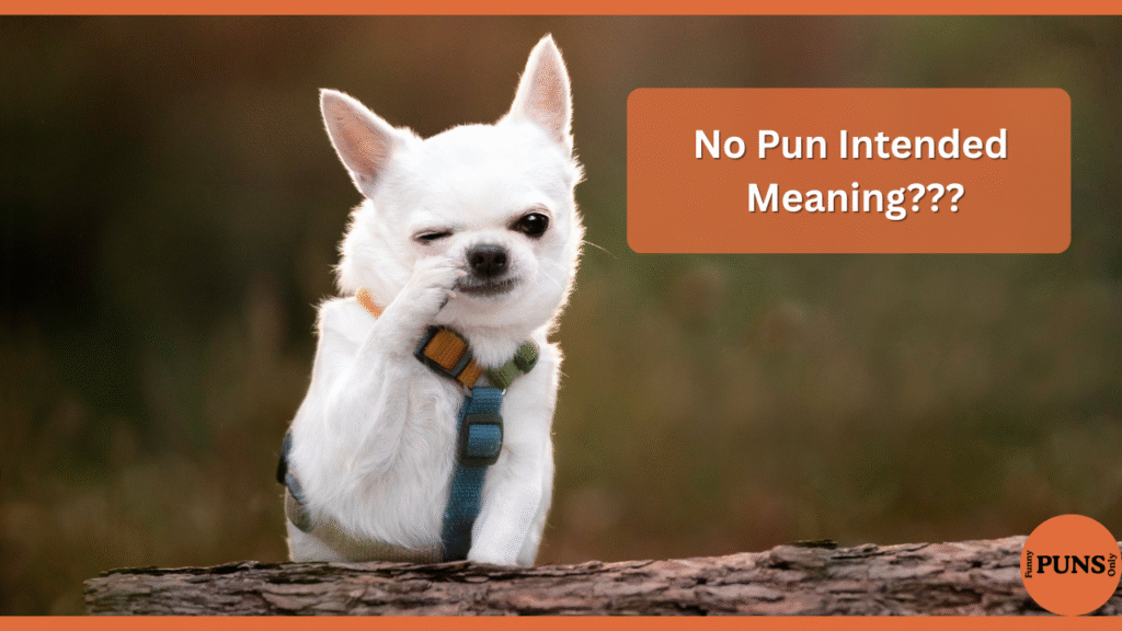 No Pun Intended Meaning