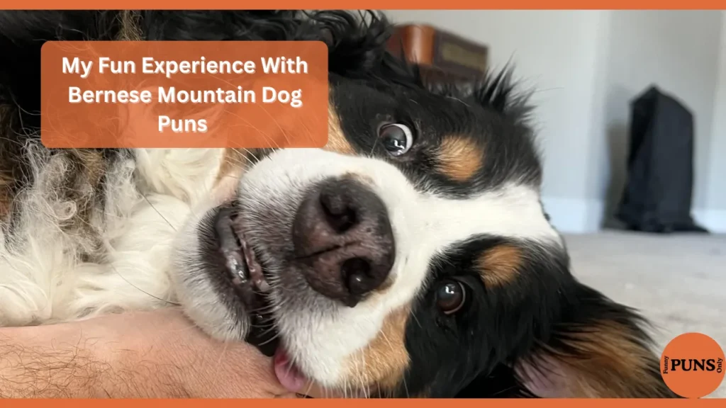 Bernese Mountain Dog Puns