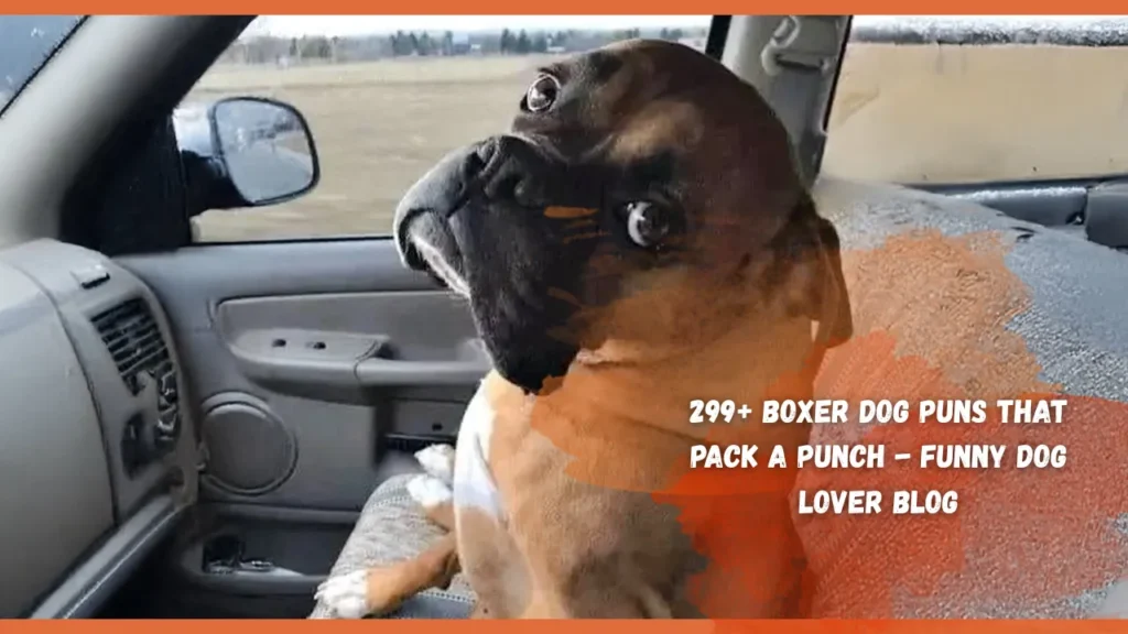 Boxer Dog Puns