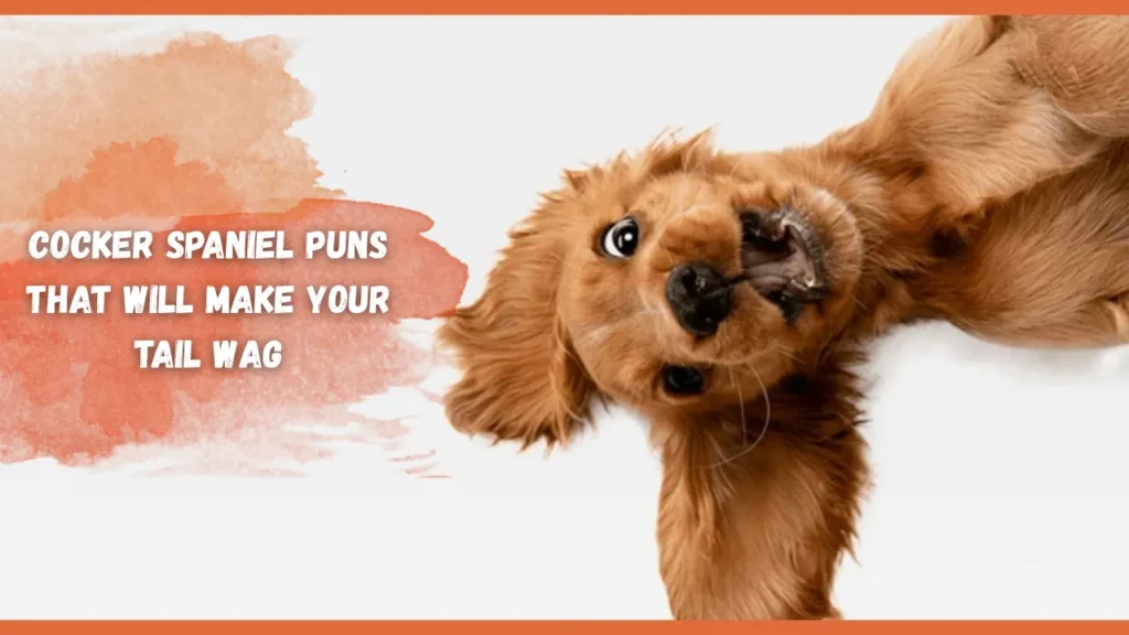 Cocker Spaniel Puns