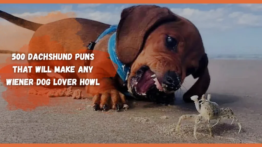 Dachshund Puns