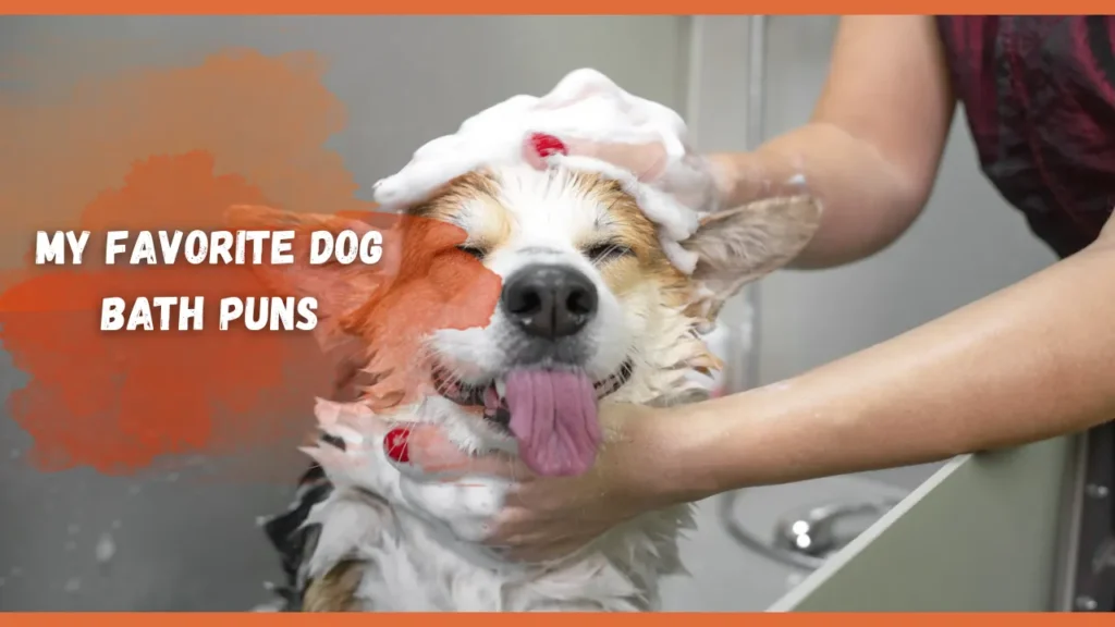Dog Bath Puns