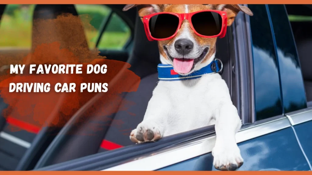 Dog Driving Car Puns
