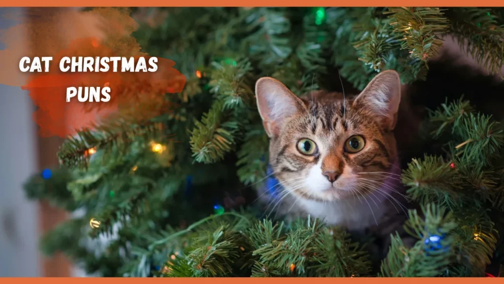 Cat christmas Puns