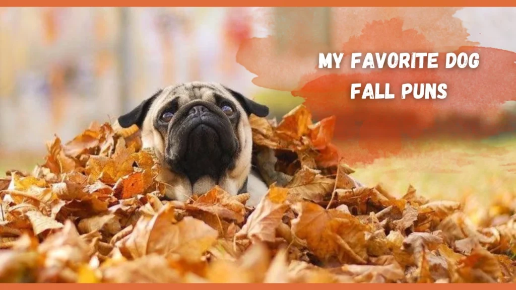 Dog Fall Puns