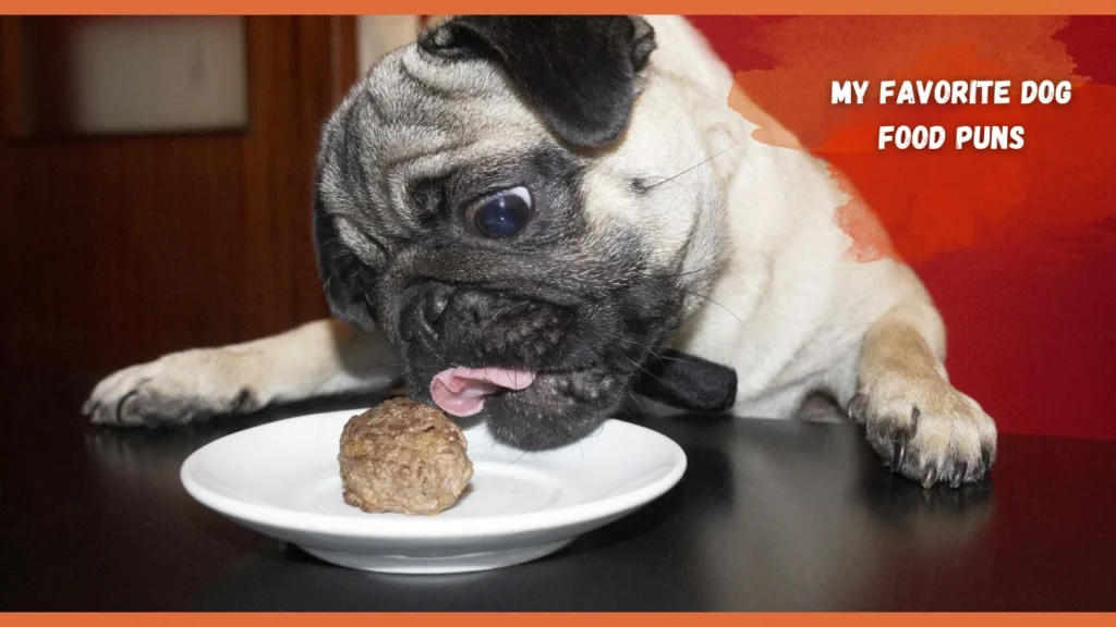 Dog Food Puns