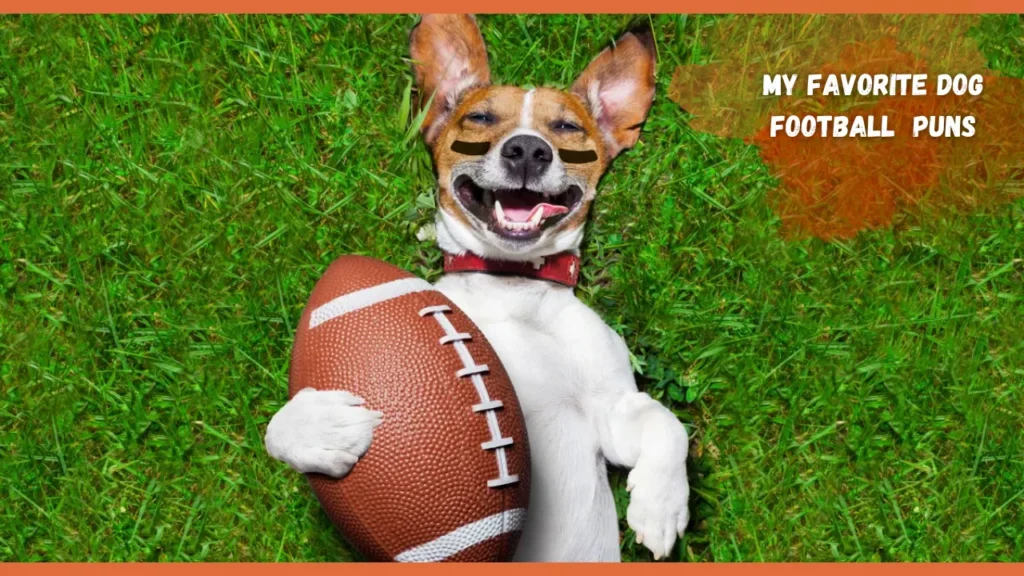 Dog Football Puns