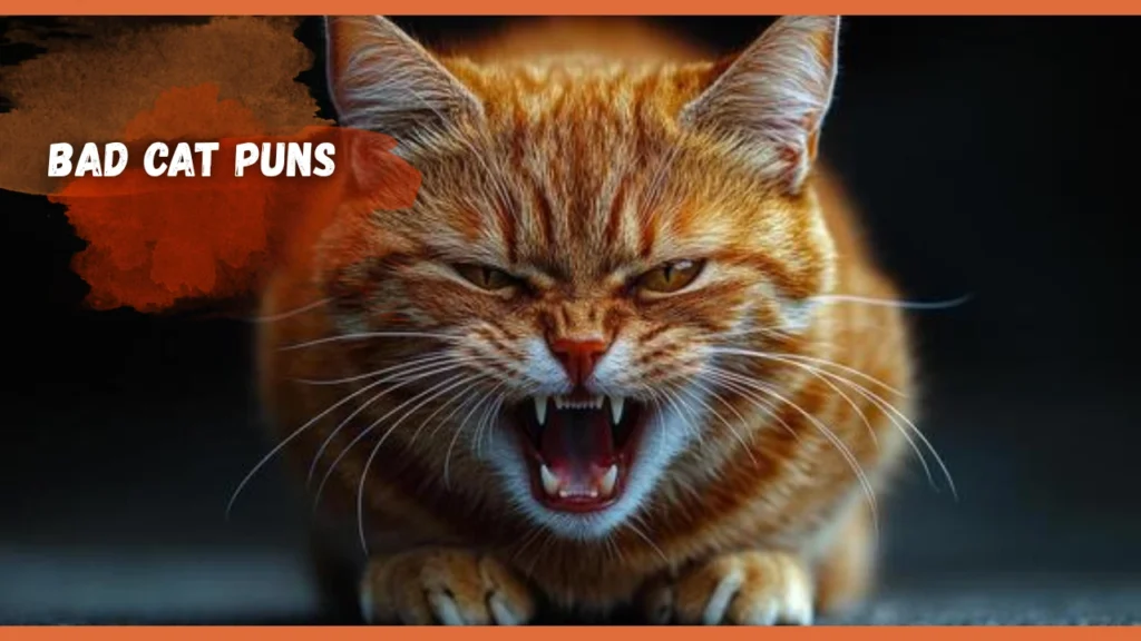 bad cat Puns