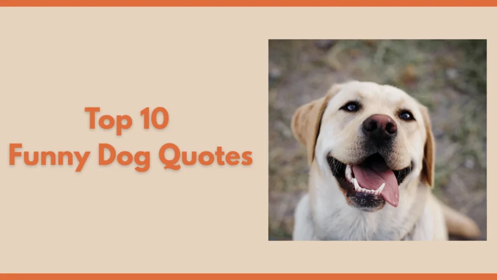 Funny Dog Quotes