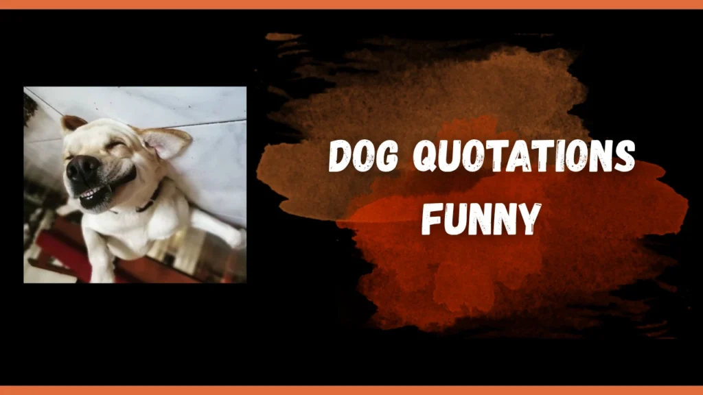 dog quotations funny
