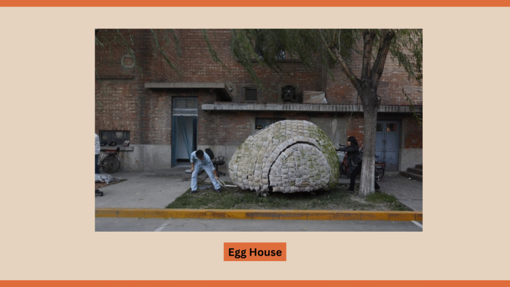 Egg House